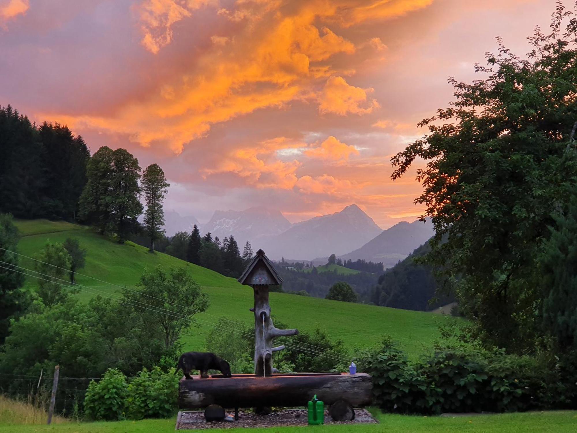 Biobauernhof Schoettelbauer Rosenau am Hengstpass Екстериор снимка