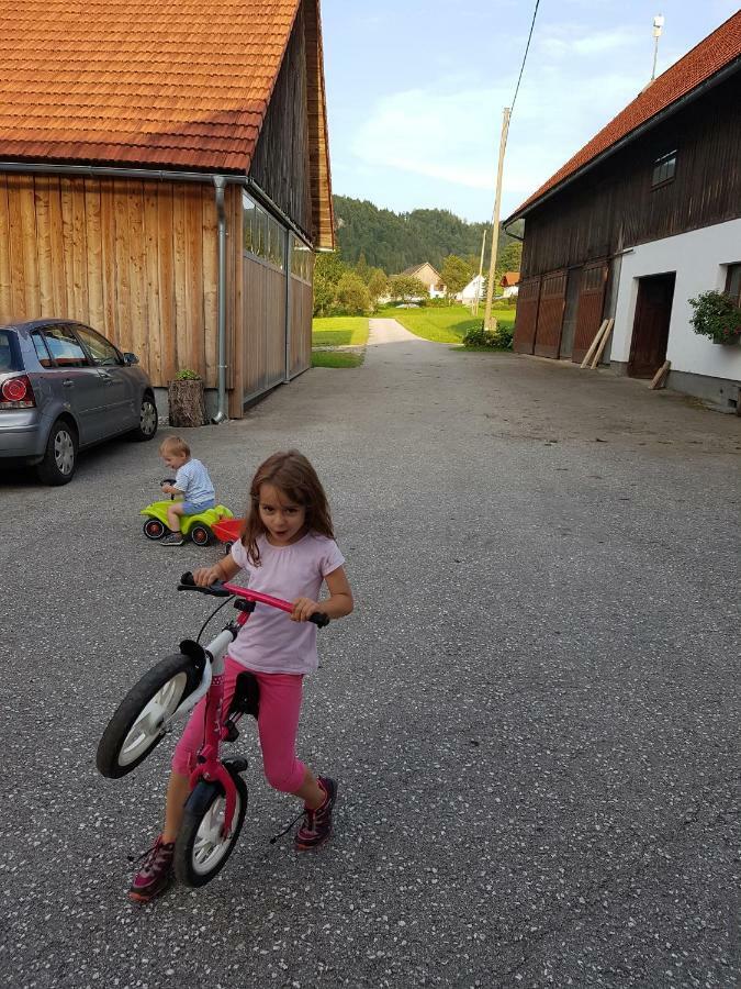 Biobauernhof Schoettelbauer Rosenau am Hengstpass Екстериор снимка